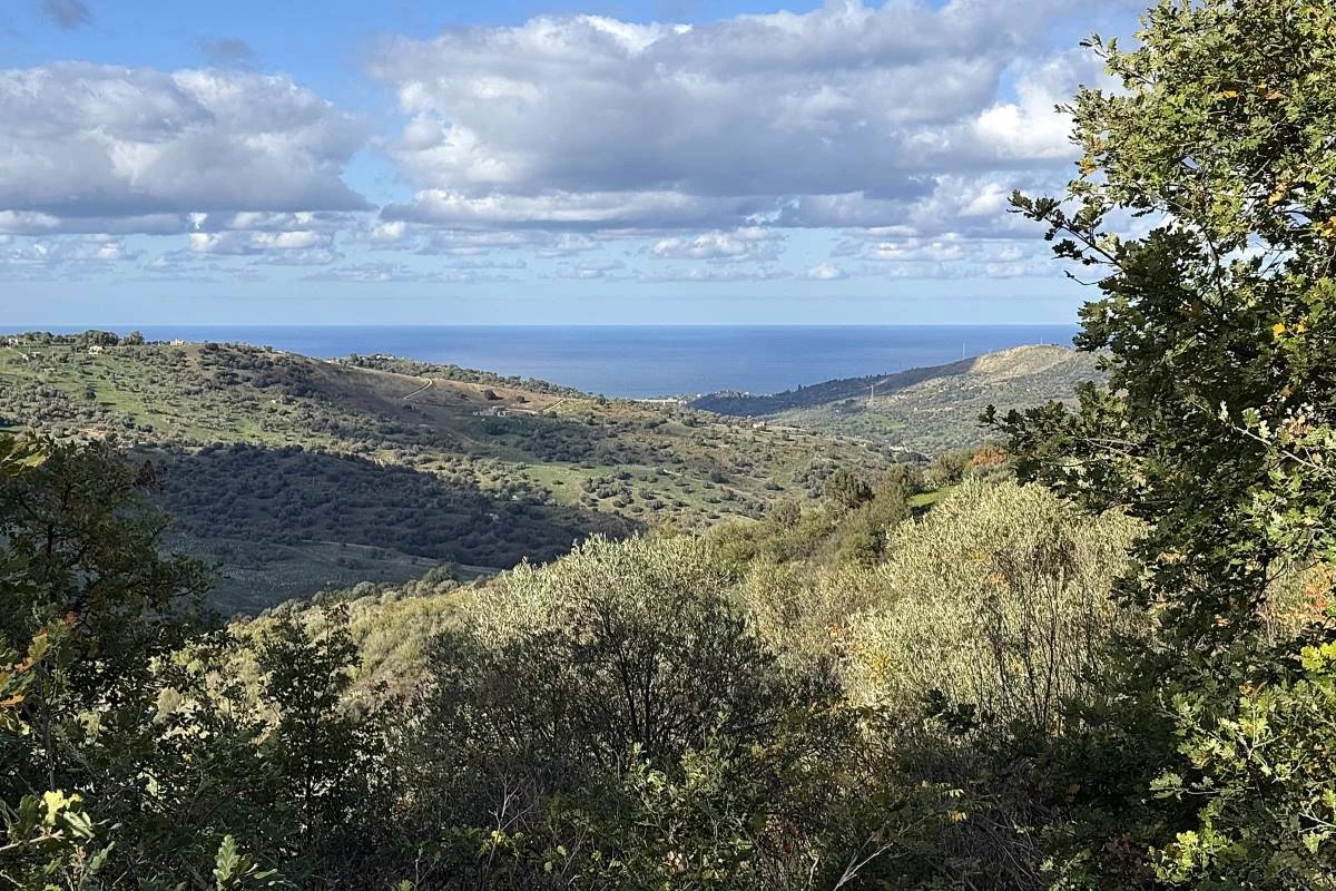 Land in Collesano - view 1