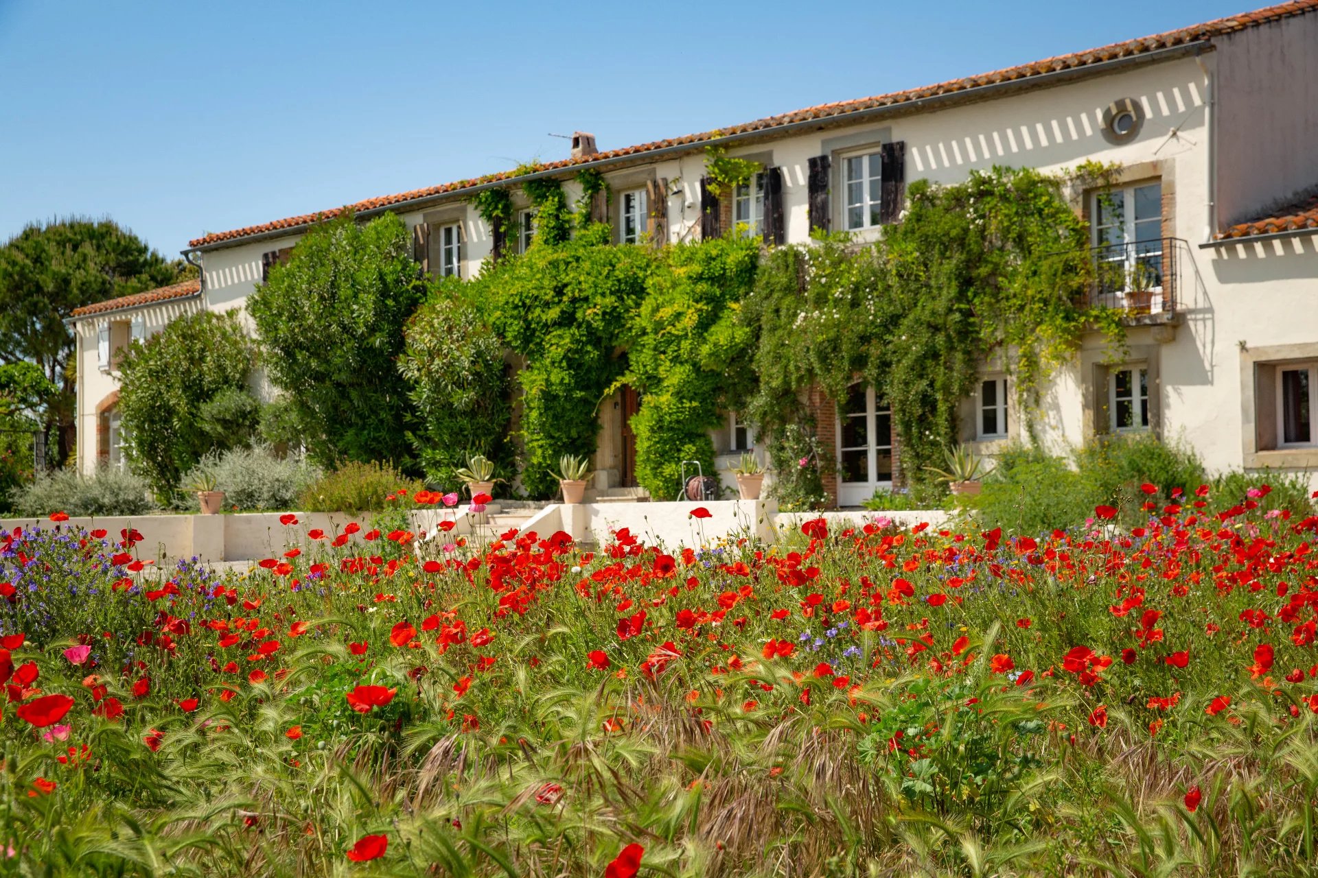 House in Carcassonne - view 1