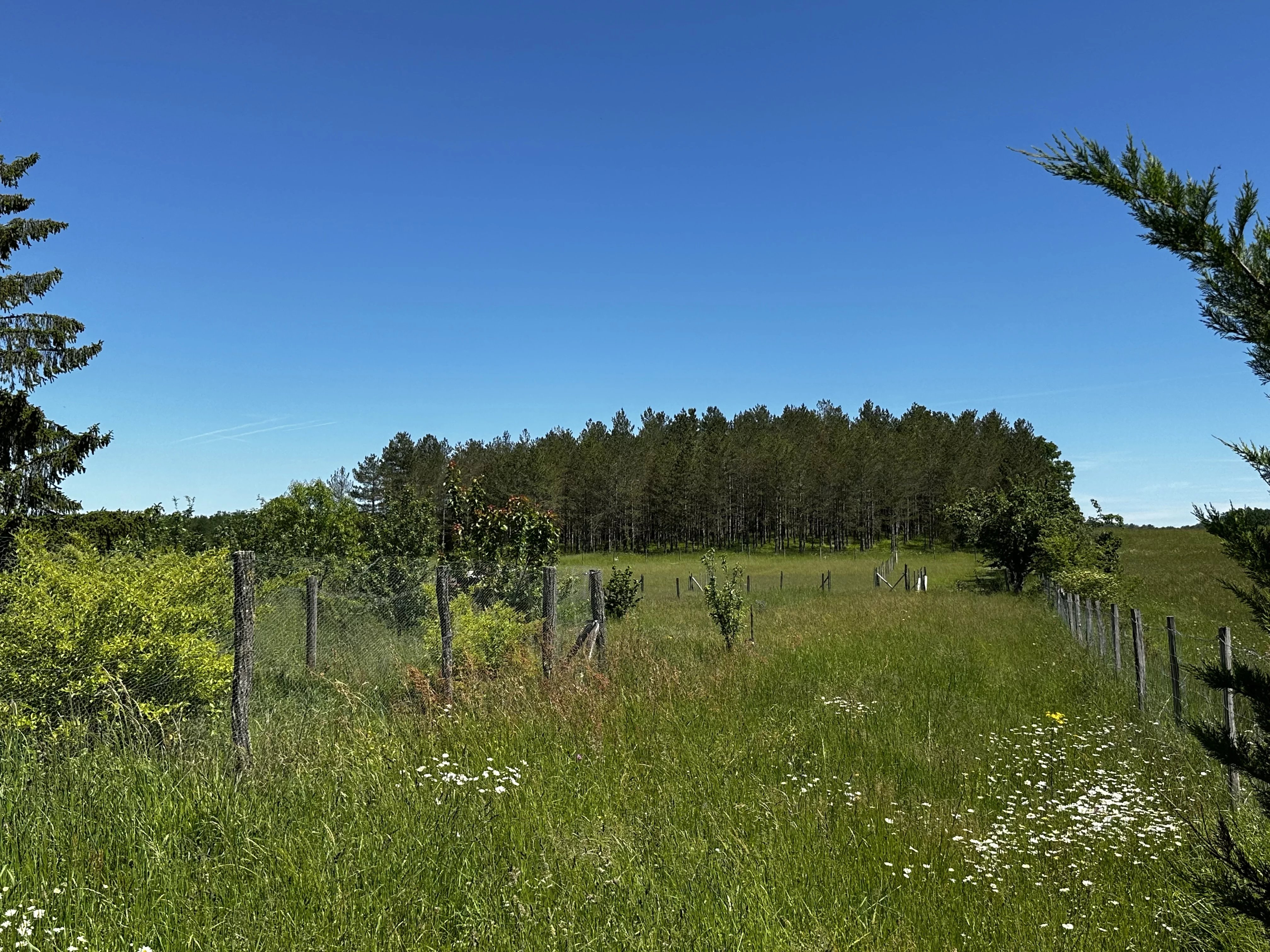 House in Lauzun - view 1