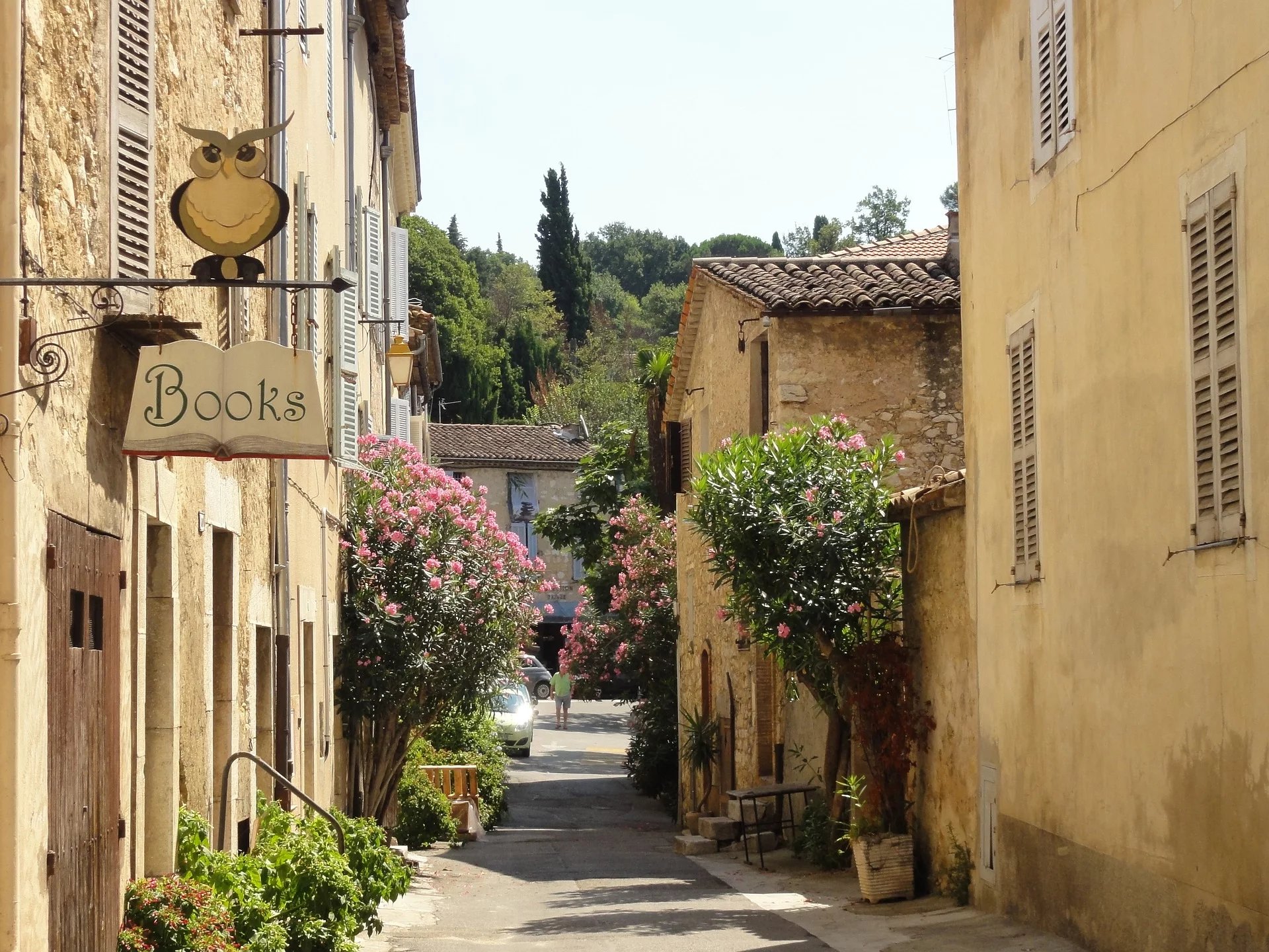 Apartment in La Valbonne - view 1
