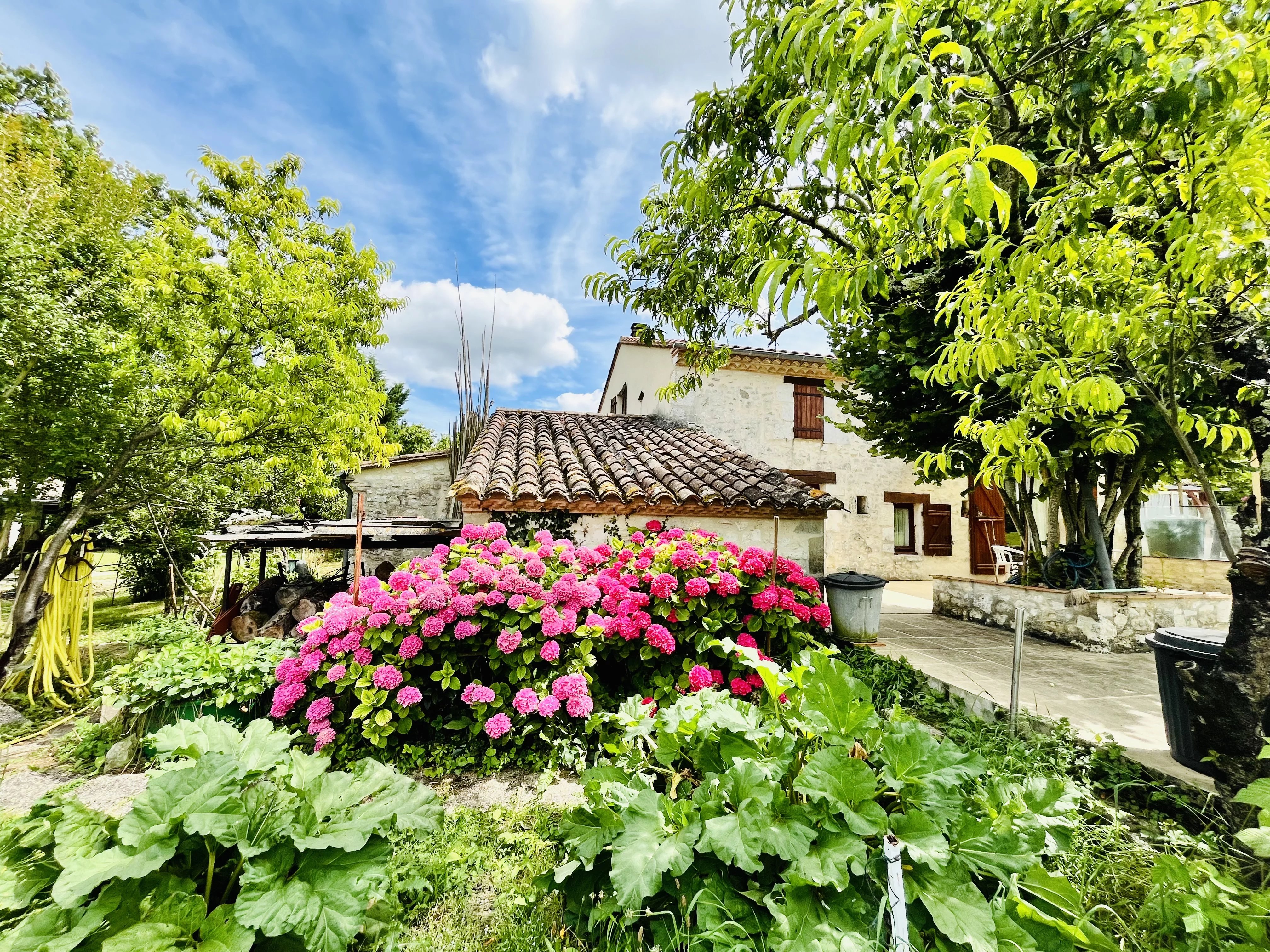House in Douzains - view 1