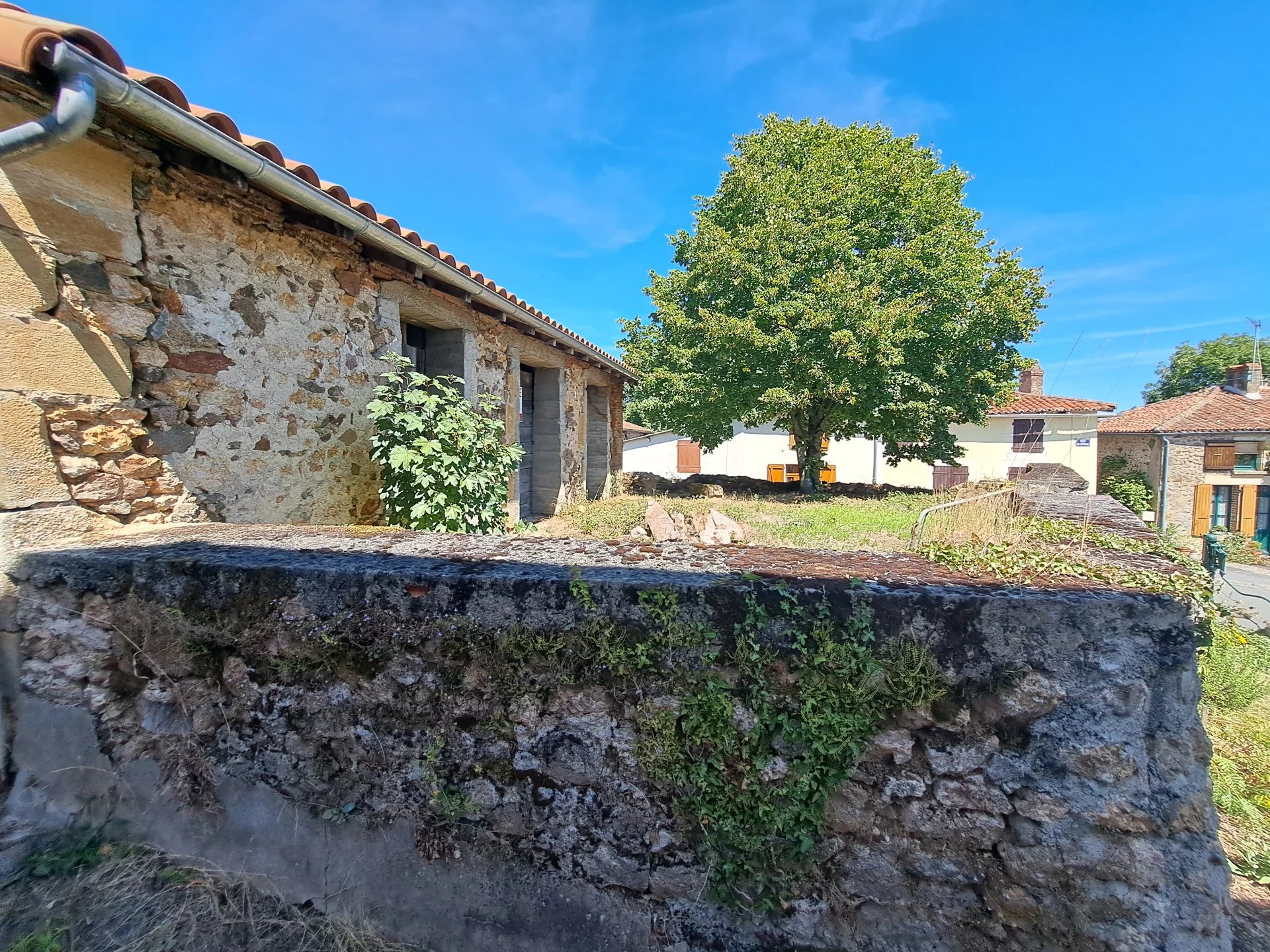 House in Availles-Limouzine - view 1