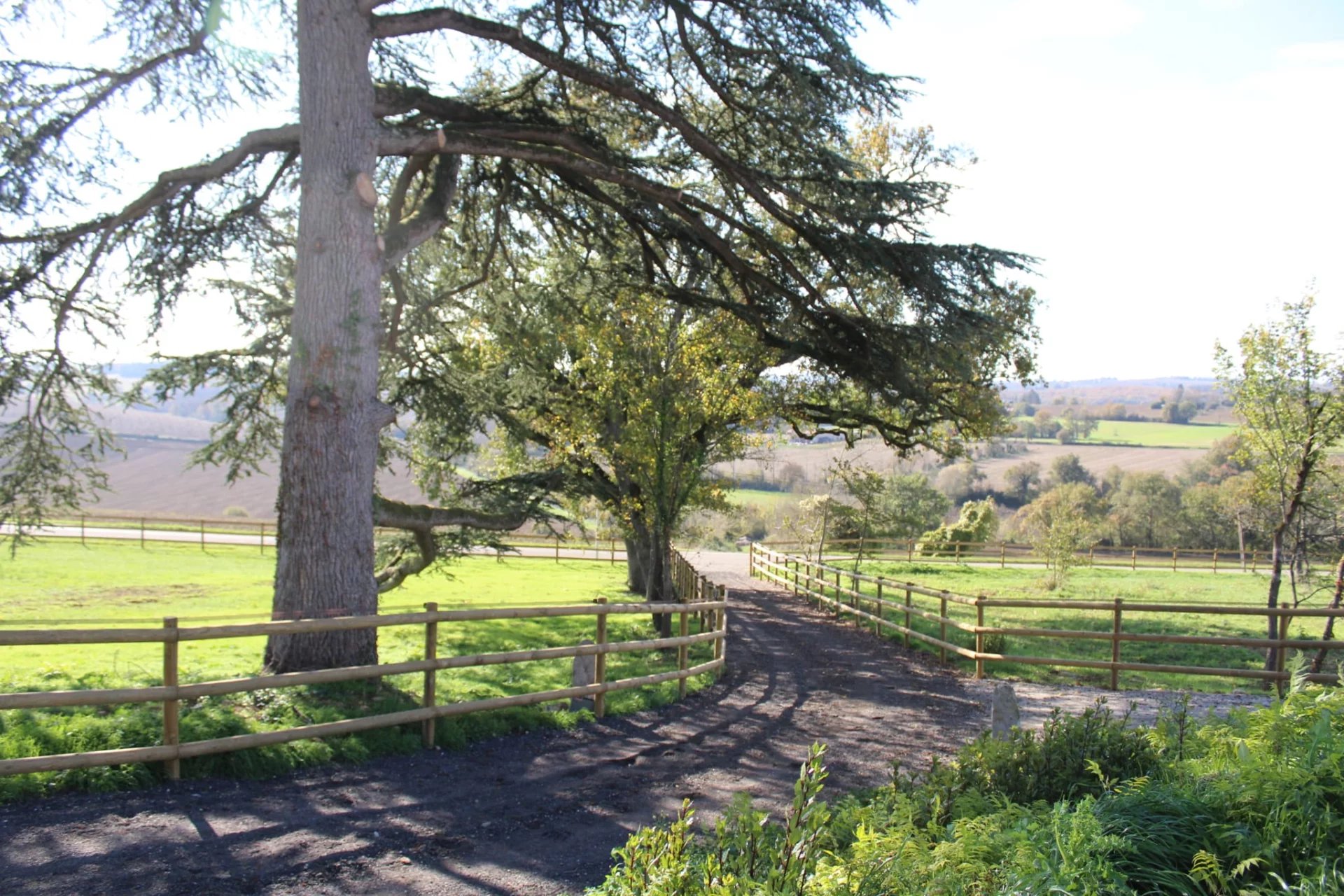 House in Saint-Vincent-de-Lamontjoie - view 1