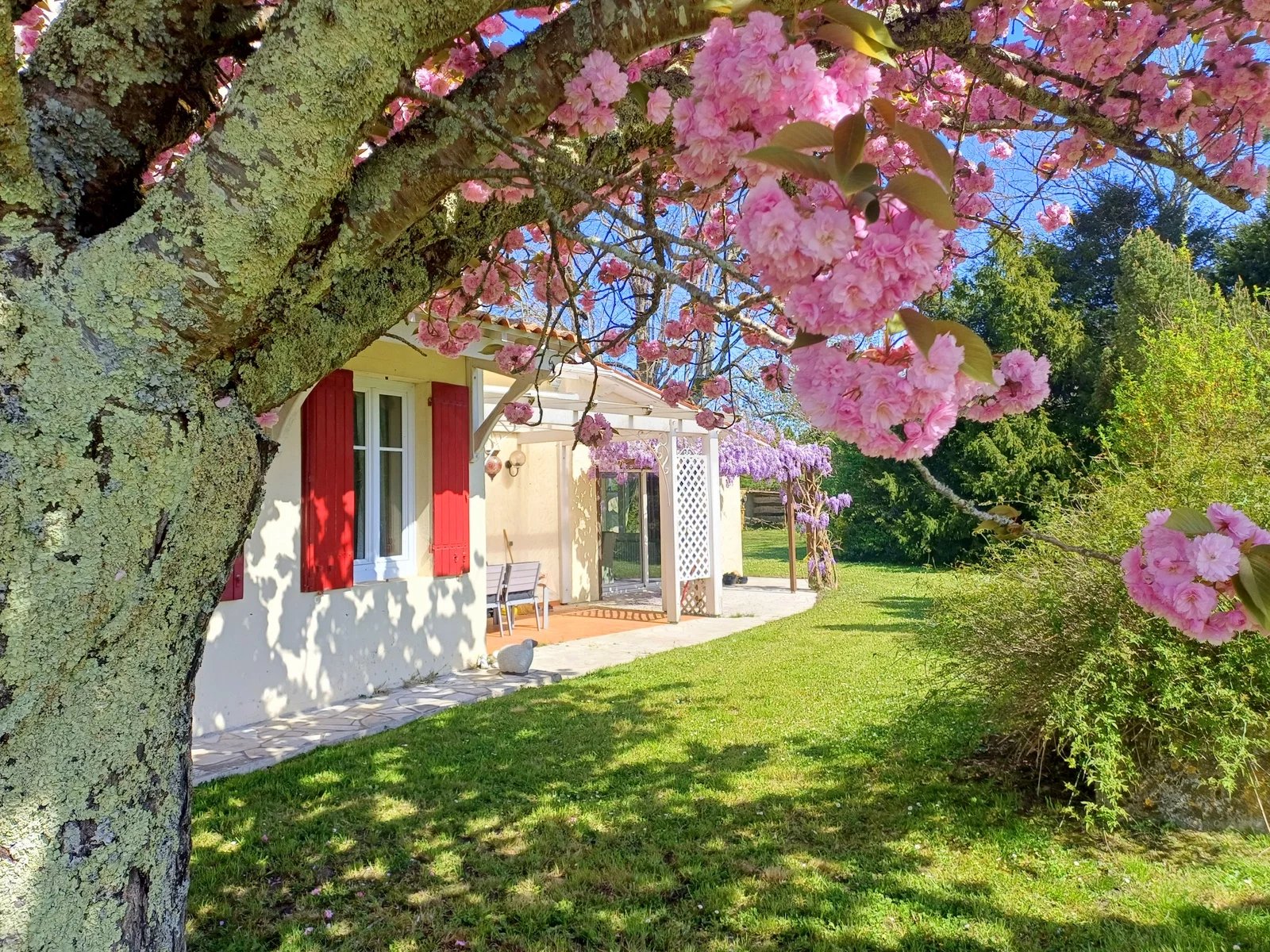 House in Jonzac - view 1