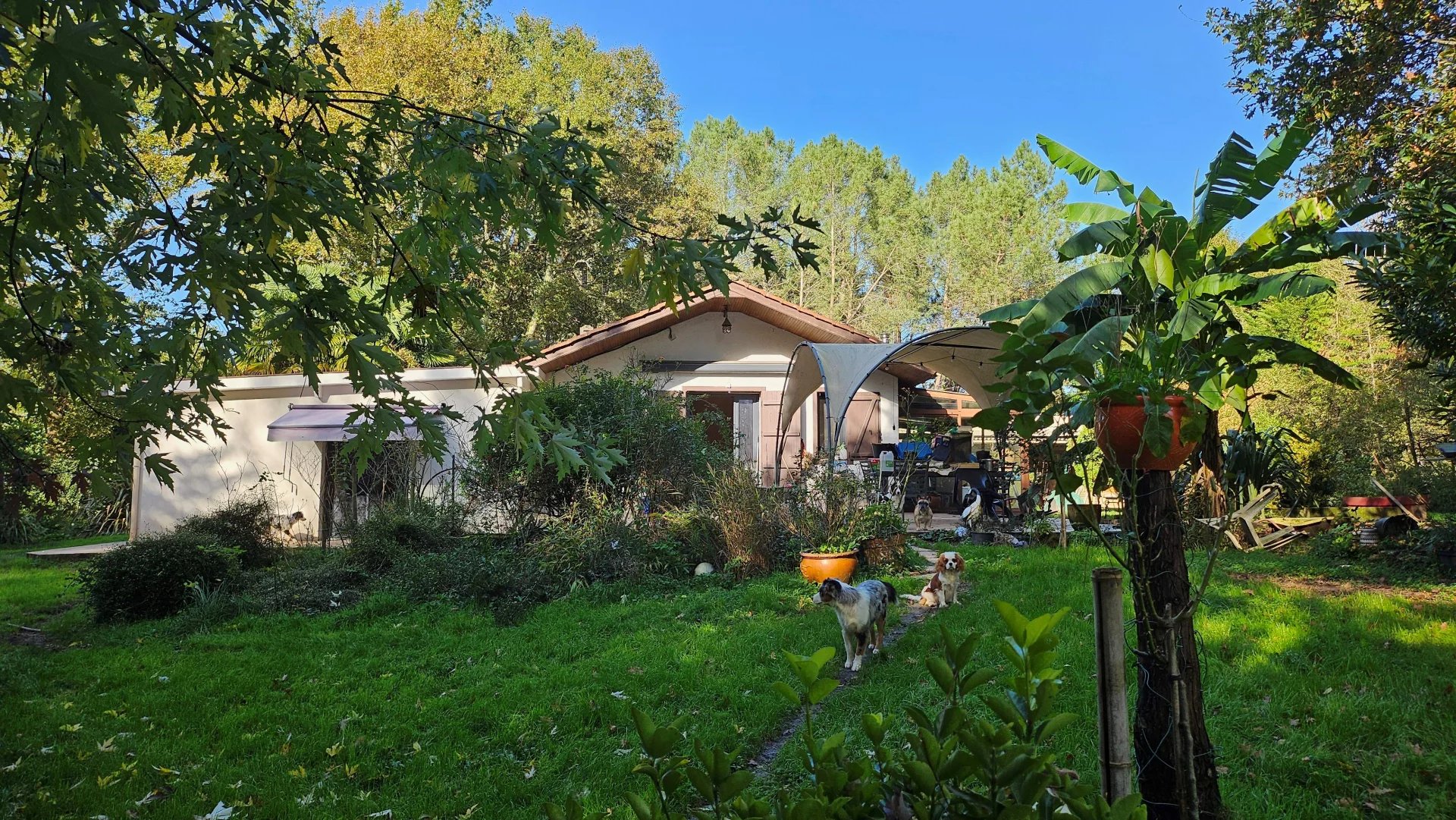 House in Boisredon - view 1