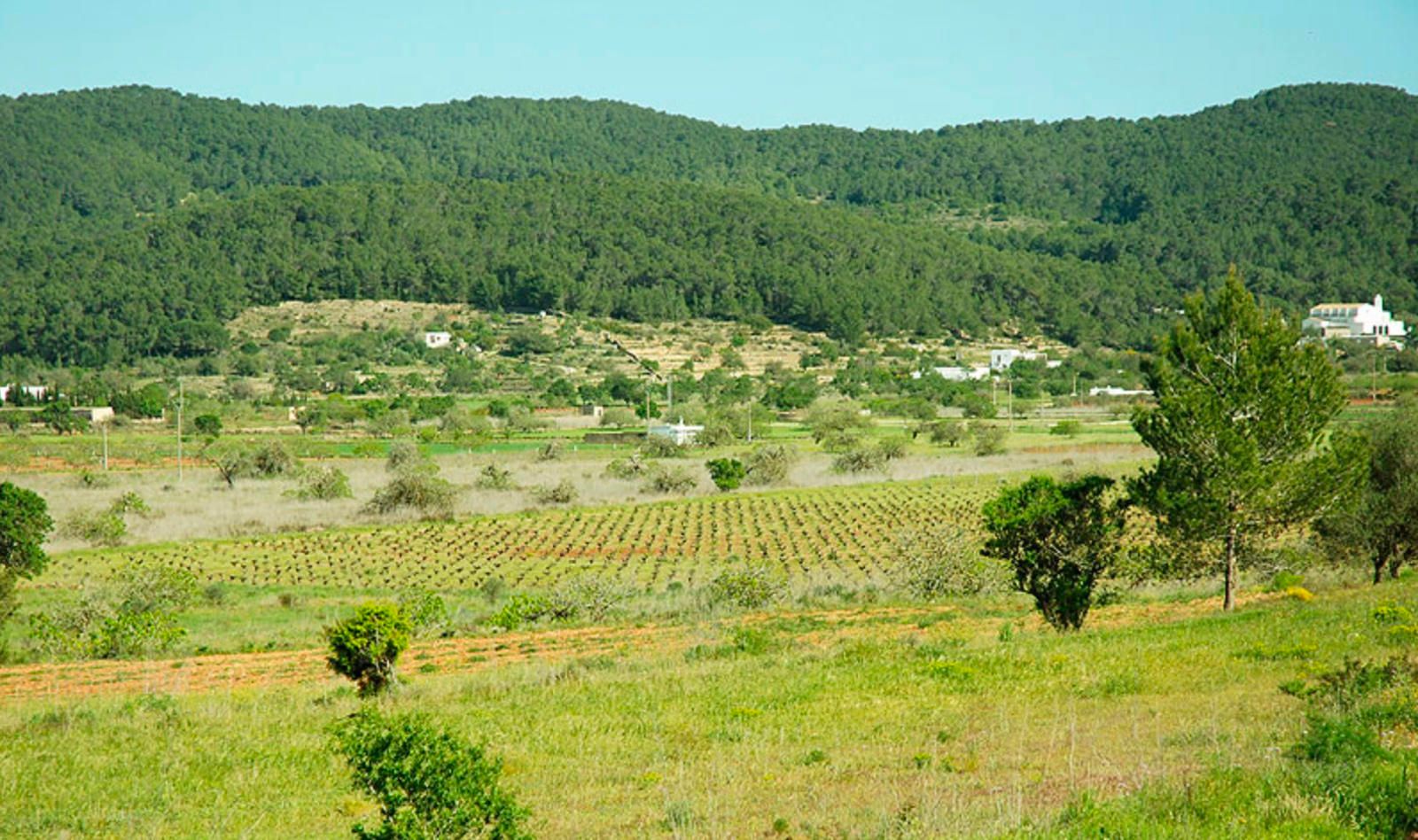House in Sant Mateu d'Albarca - view 1