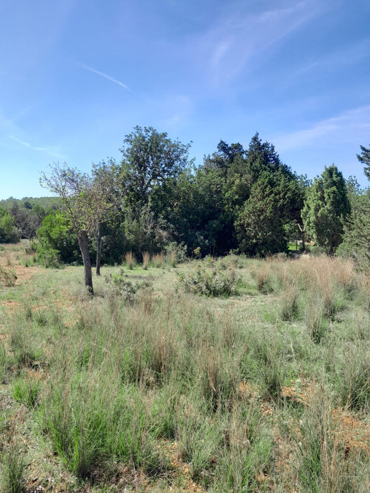 House in Santa Eularia des Riu - view 1