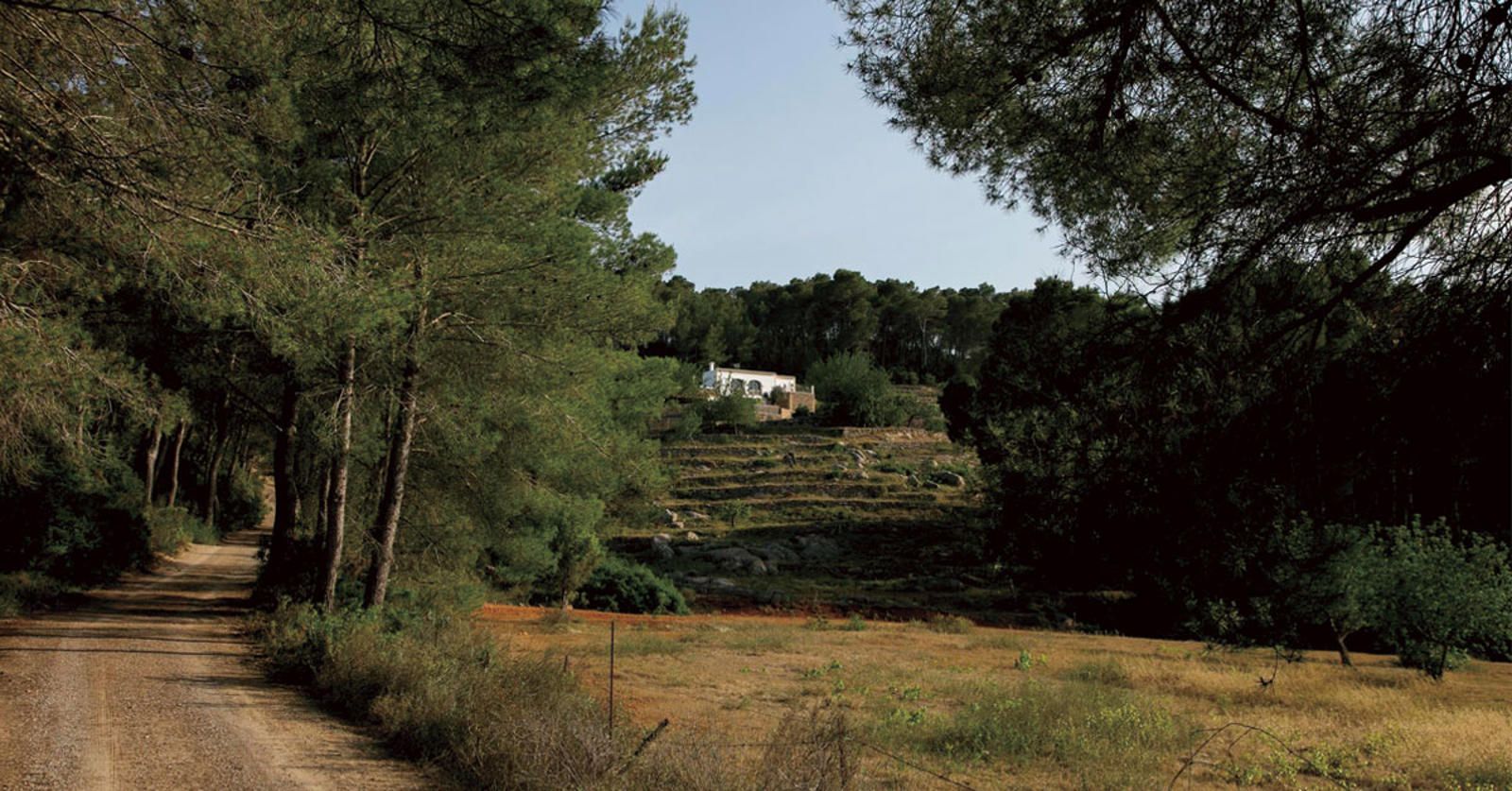 House in Comunitat Autonoma de les Illes Balears - view 1