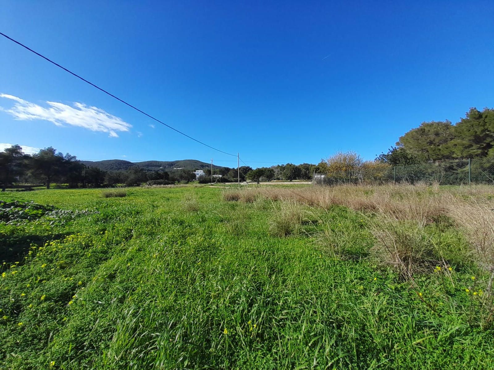 House in Es Canar - view 1