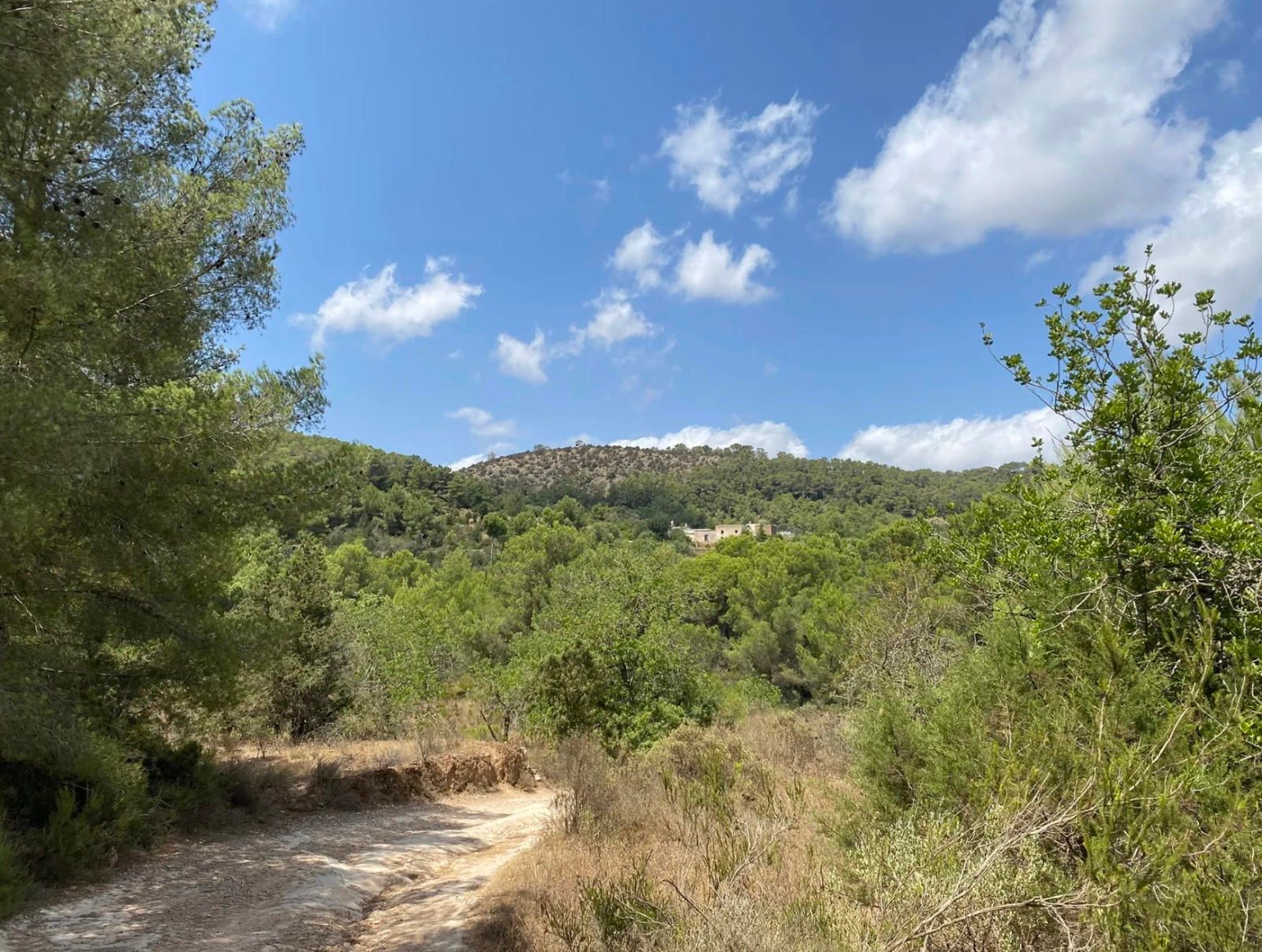 Villa in Sant Antoni de Portmany - view 1