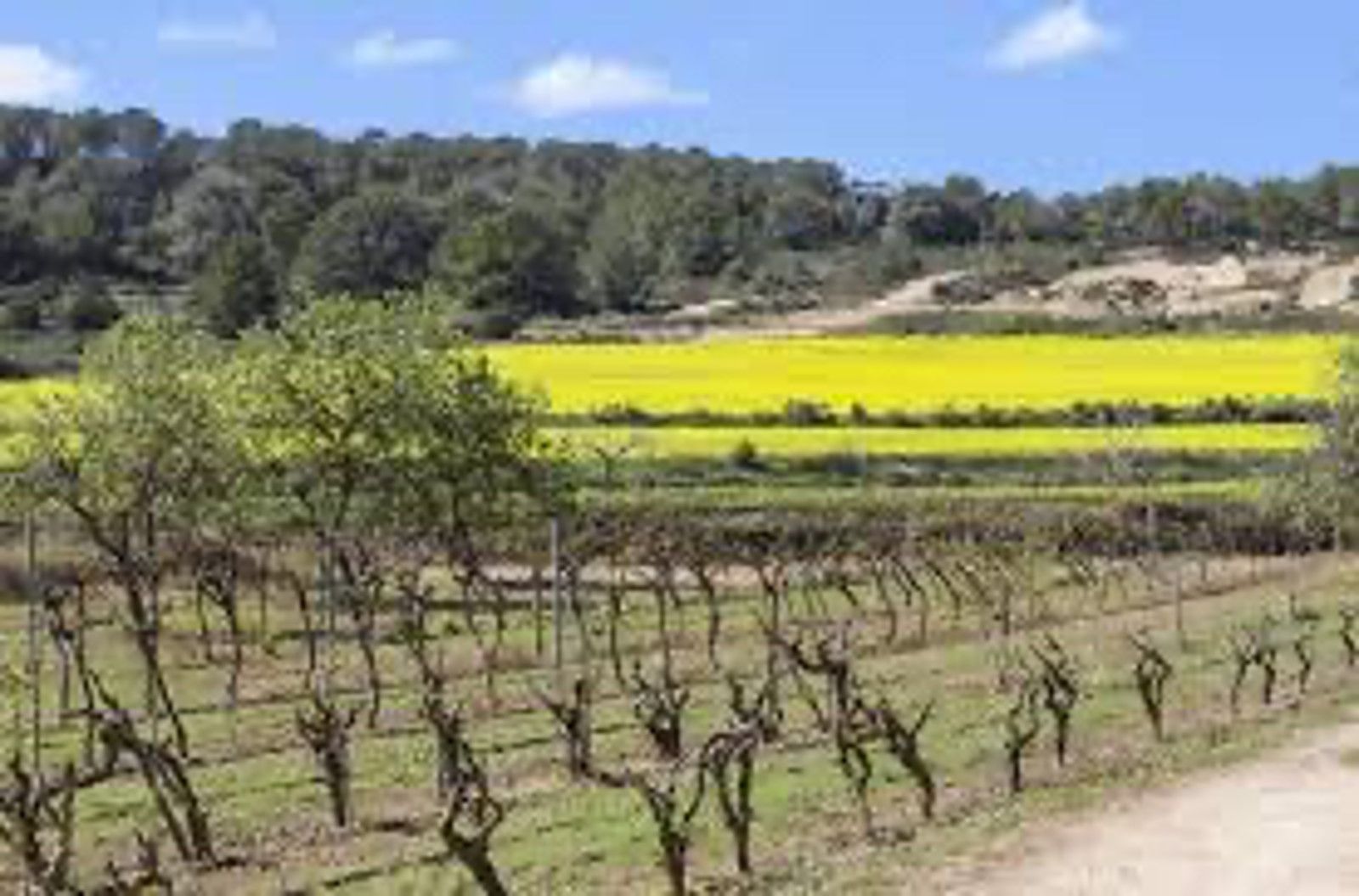 House in Sant Joan de Labritja - view 1