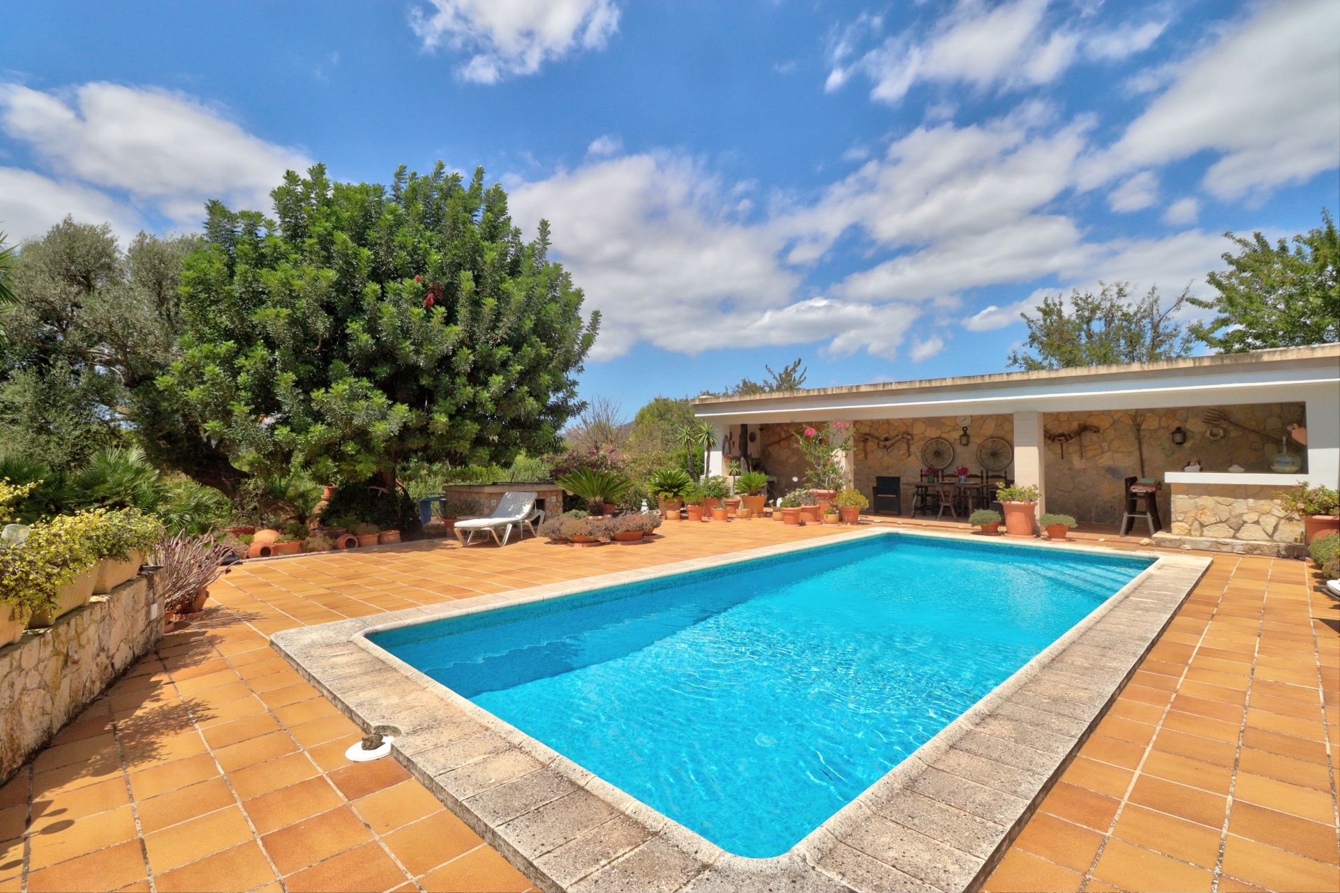 Farm, Ranch or Equestrian in Calvia - view 1