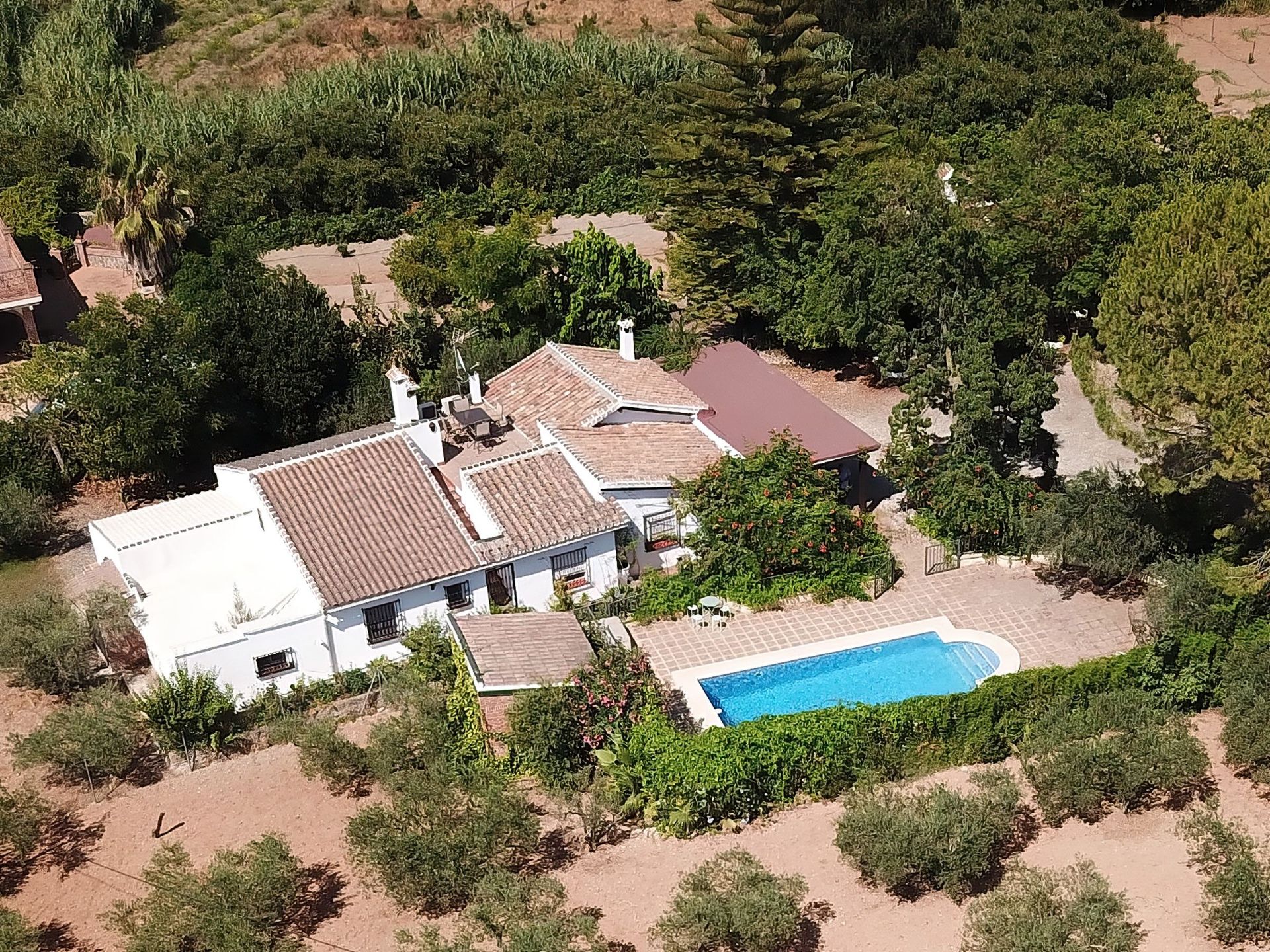House in Malaga - view 1