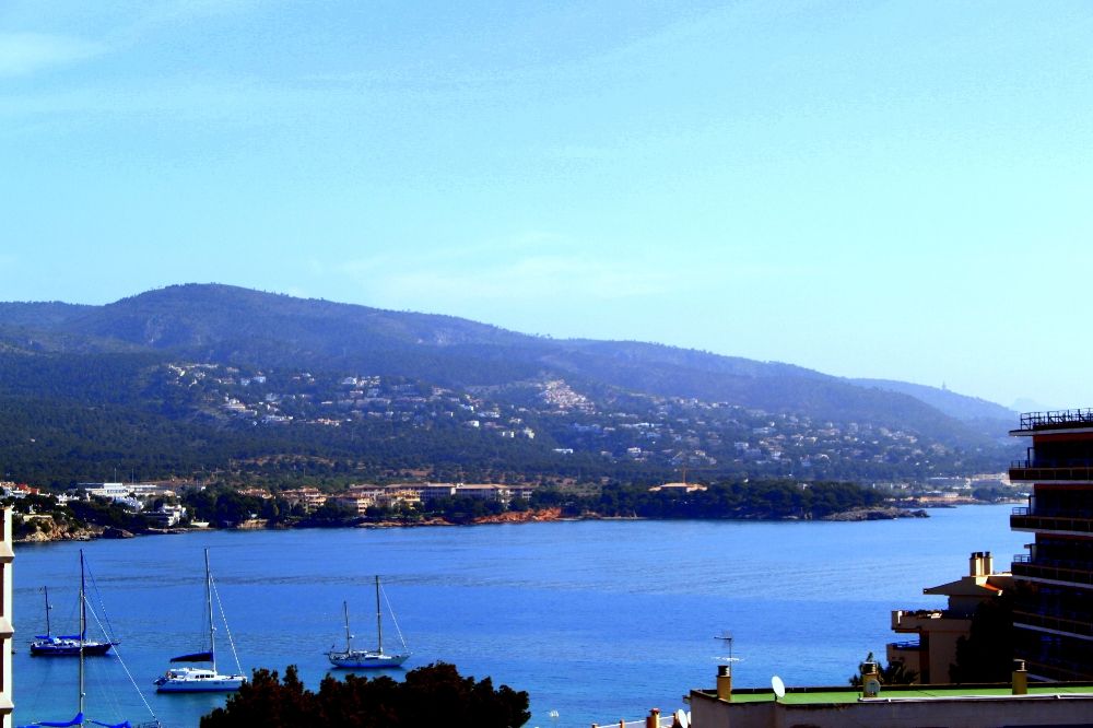 Apartment in Calvia - view 1