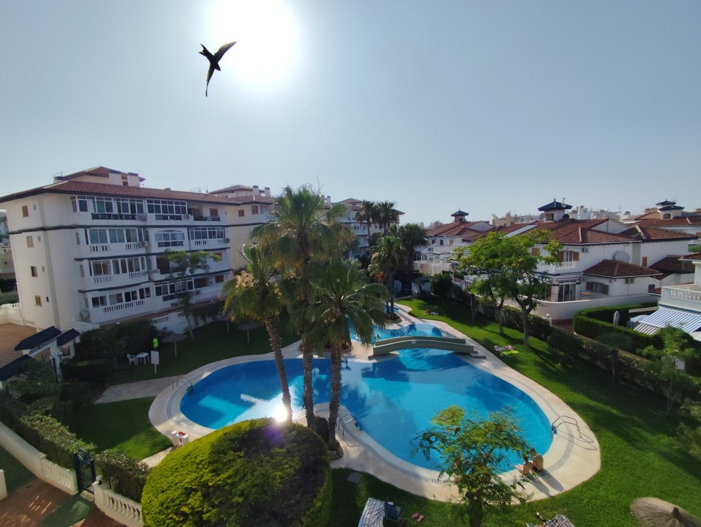 Apartment in Torrevieja - view 1