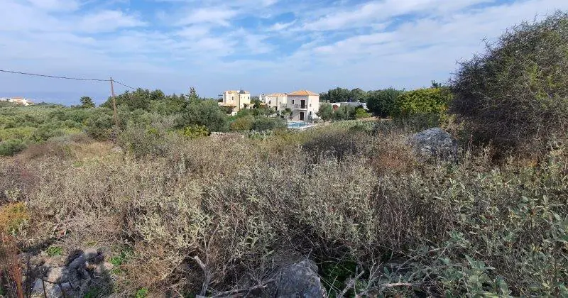 Land in Kampia - view 1