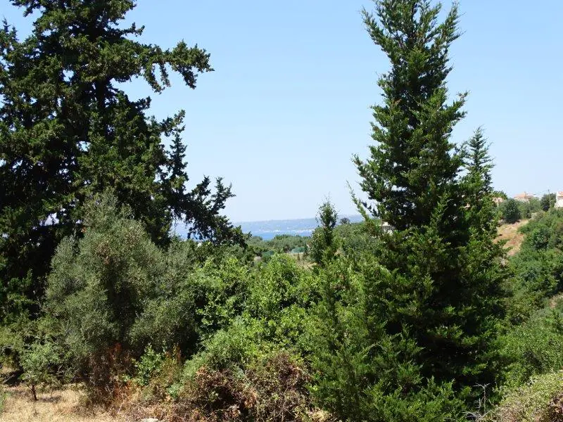 House in Almirida - view 1
