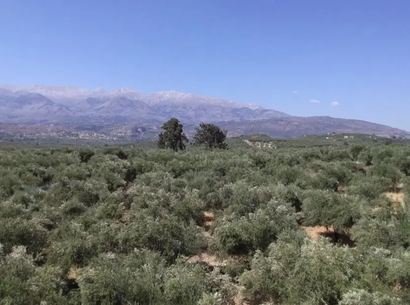 Land in Kalyves - view 1