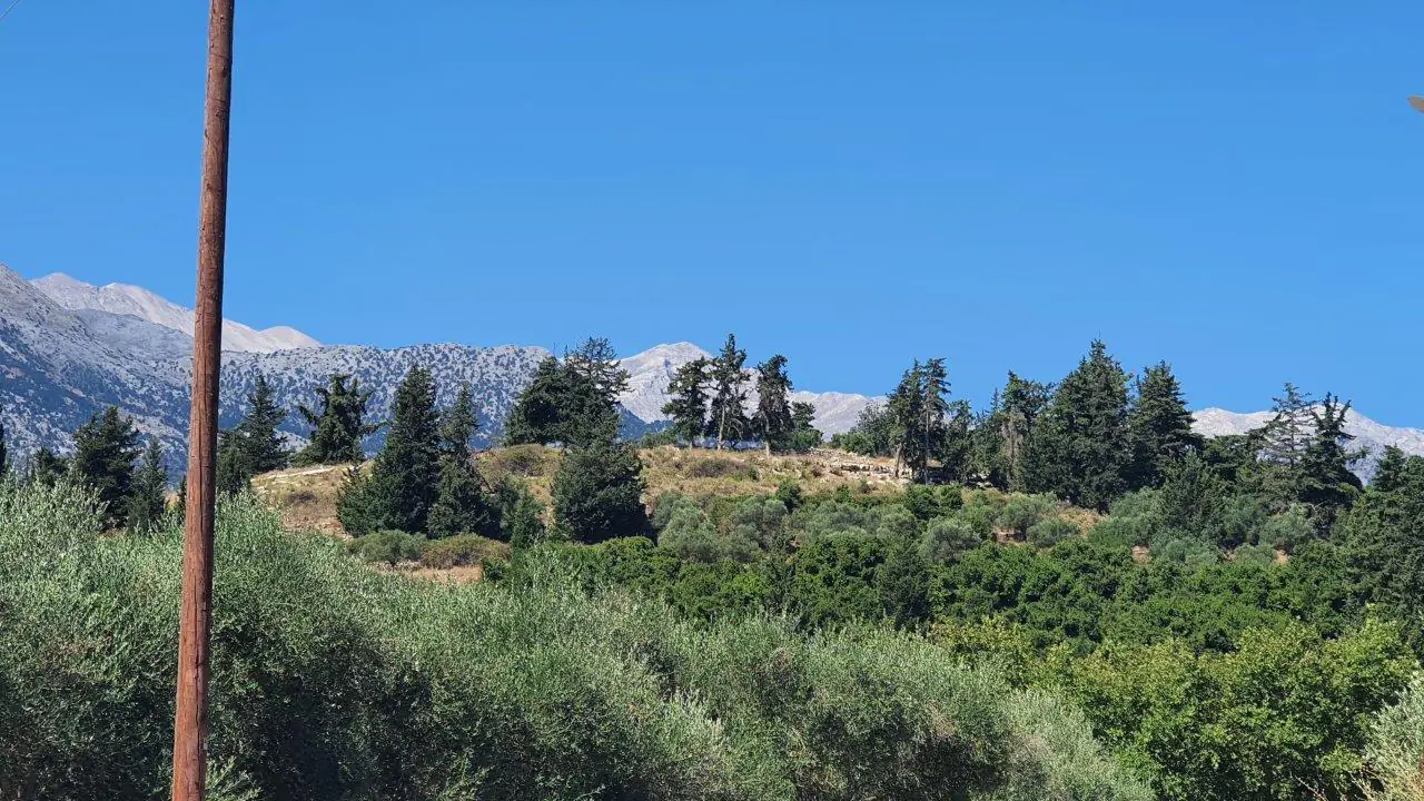 Land in Vrisai - view 1