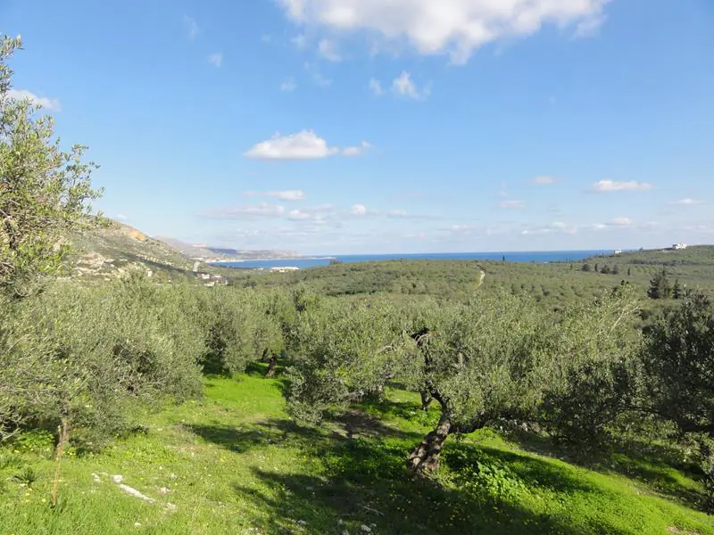 Land in Kalyves - view 1
