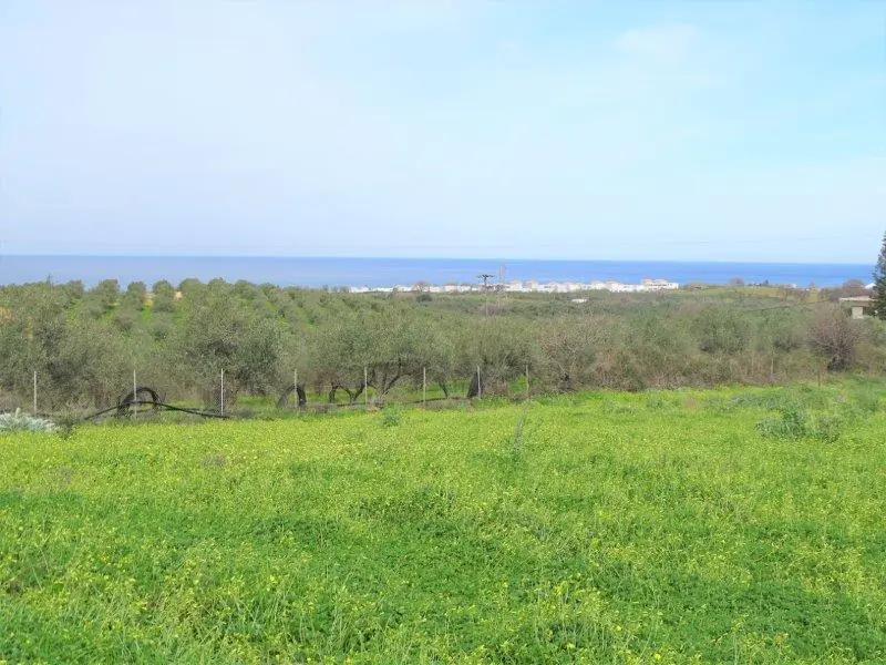 Land in Sarkounas - view 1