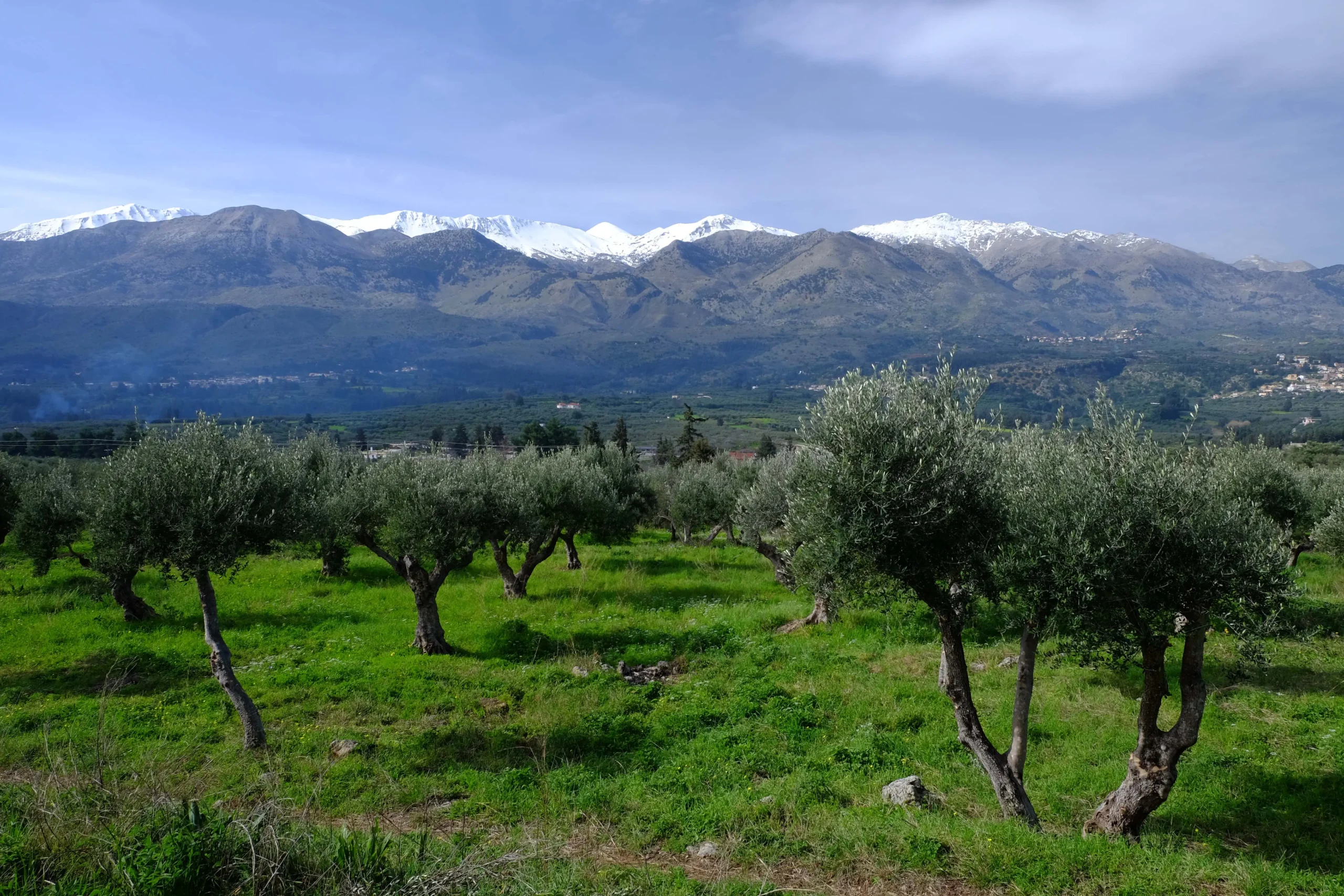 Land in Agios Nikolaos - view 1
