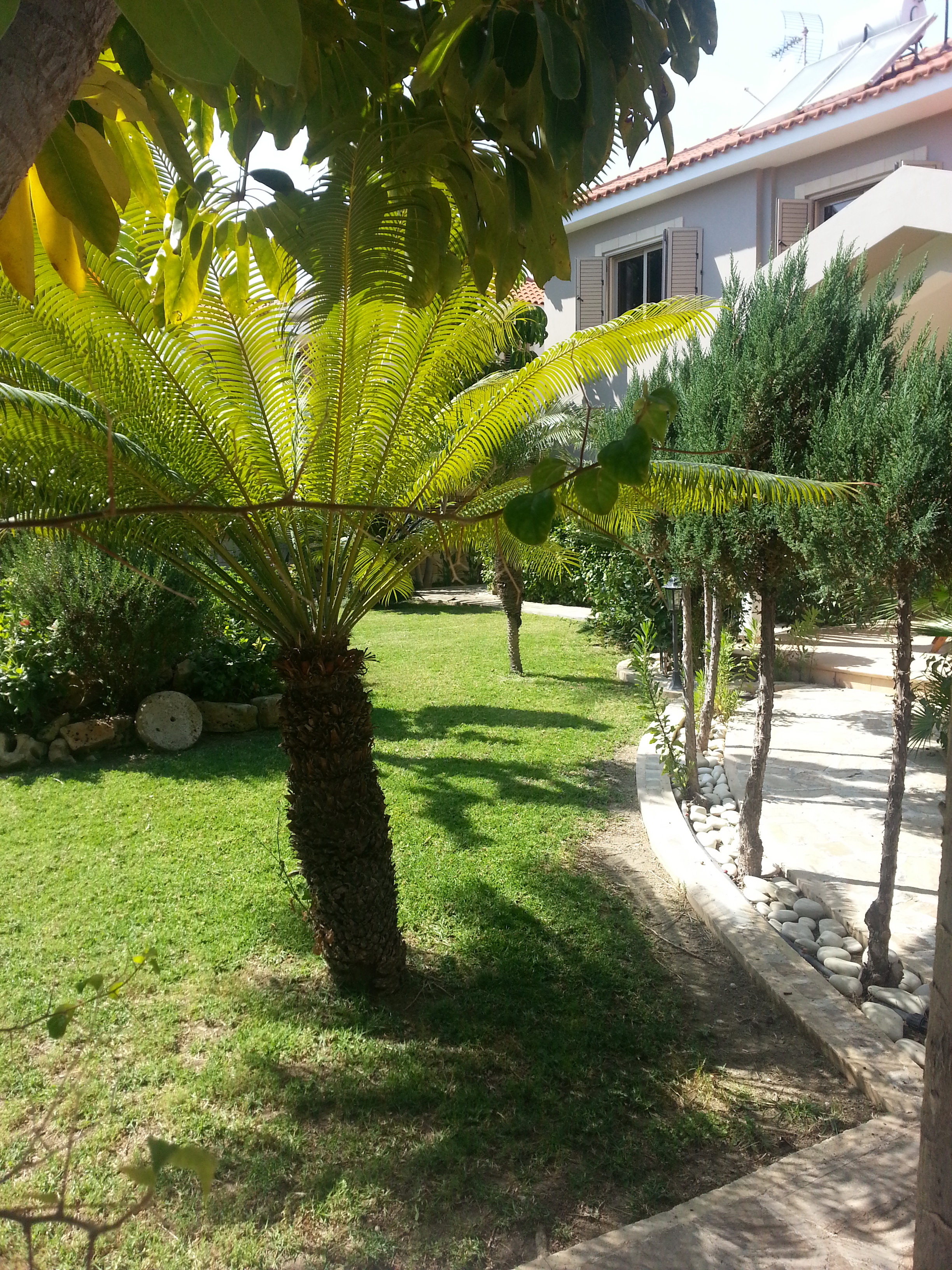 House in Larnaca Municipality - view 1
