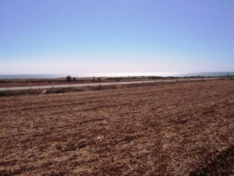House in Alaminos - view 1