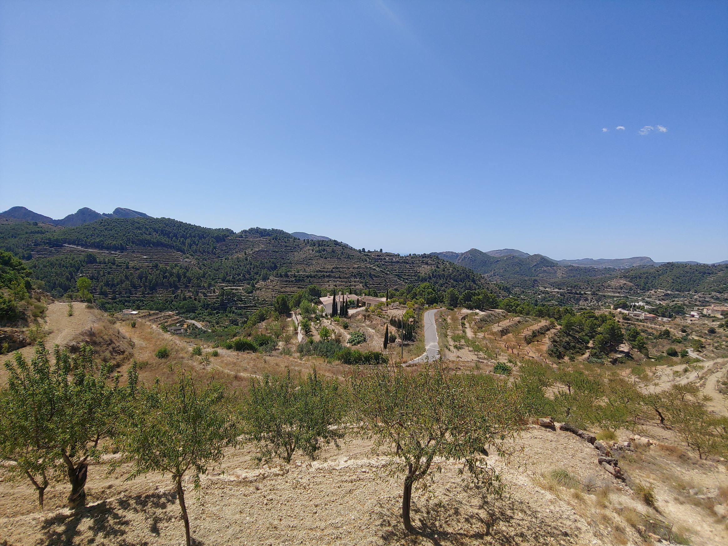 Land in Torrosella - view 1