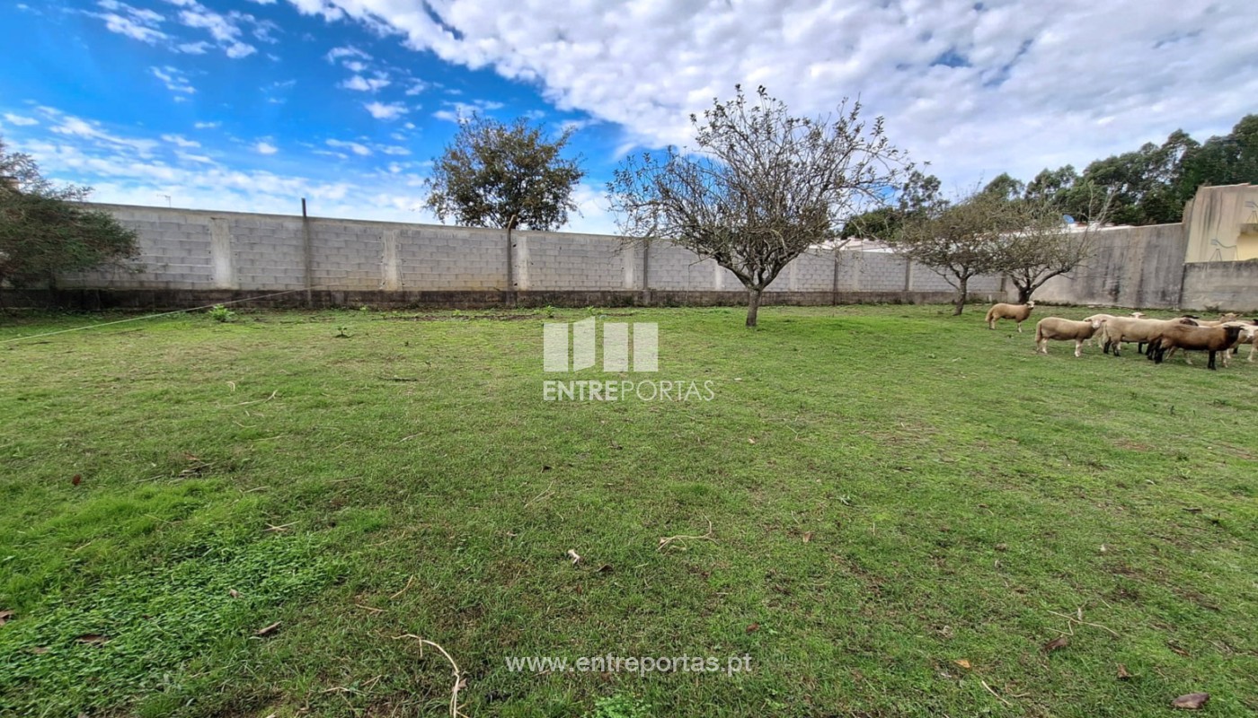 House in Vila do Conde - view 1