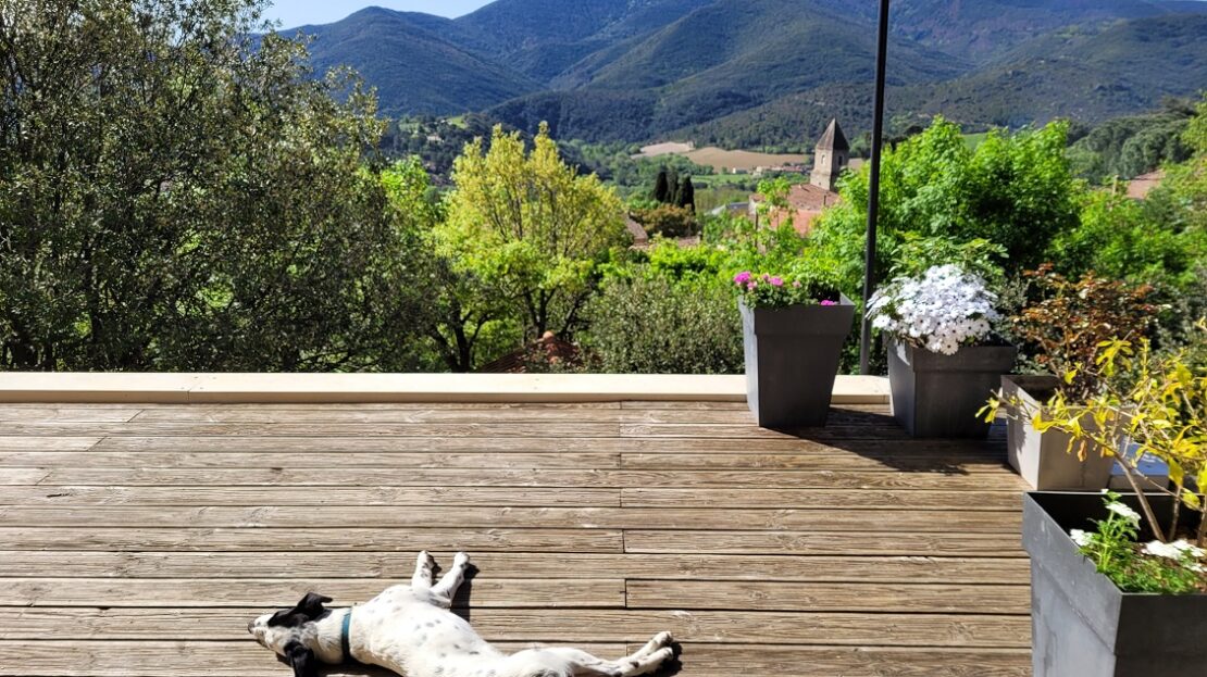 House in Olargues - view 1