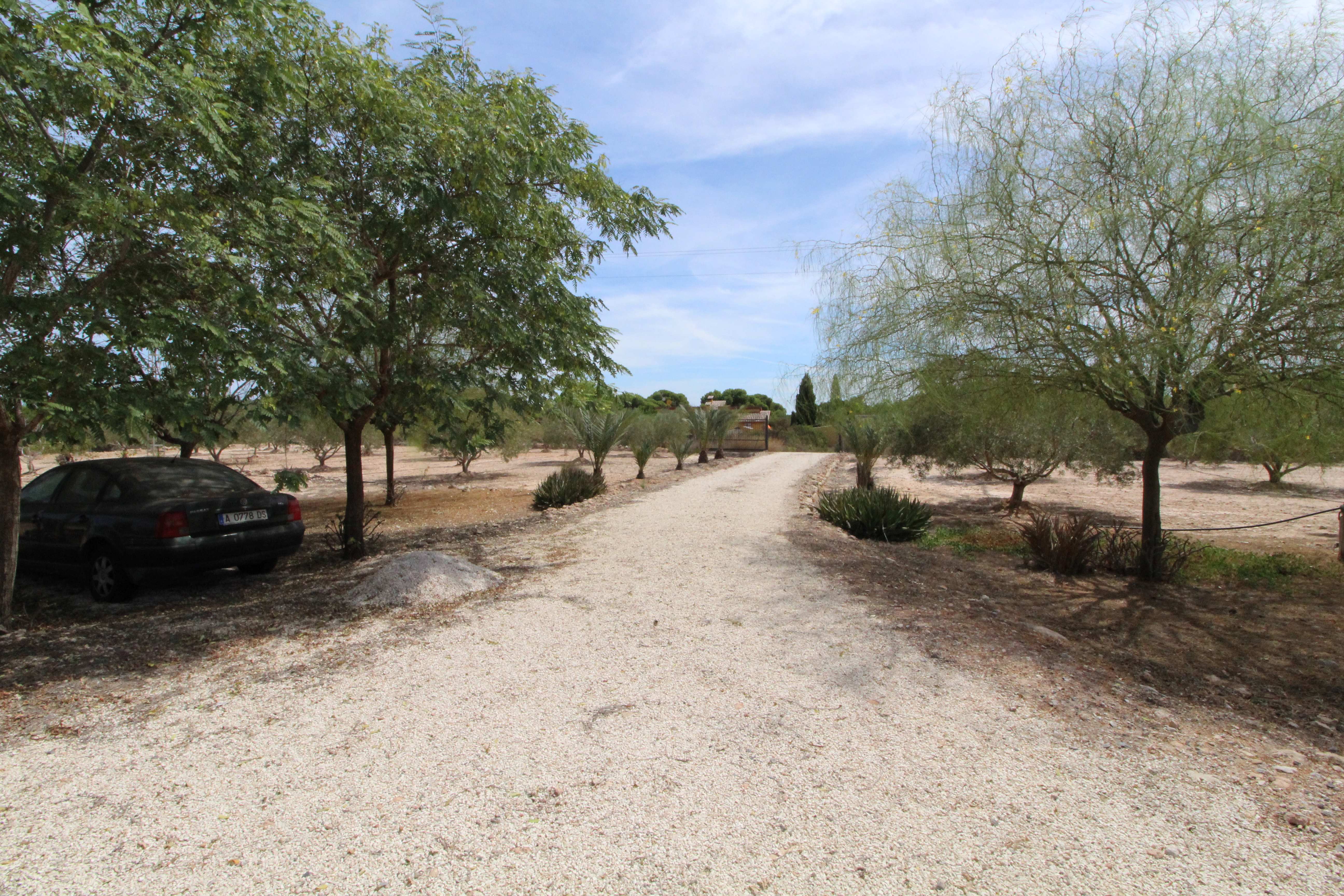 Land in Las Lomas - view 1