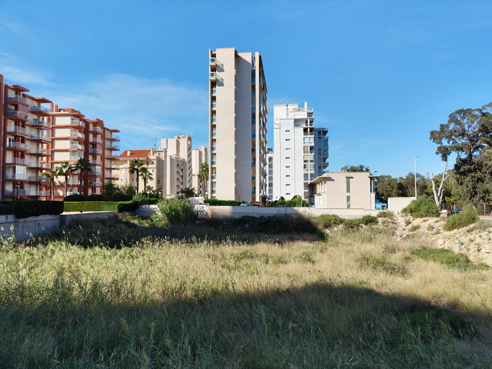 Land in Guardamar del Segura - view 1