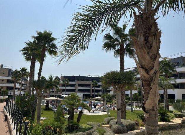 Apartment in La Zenia - view 1