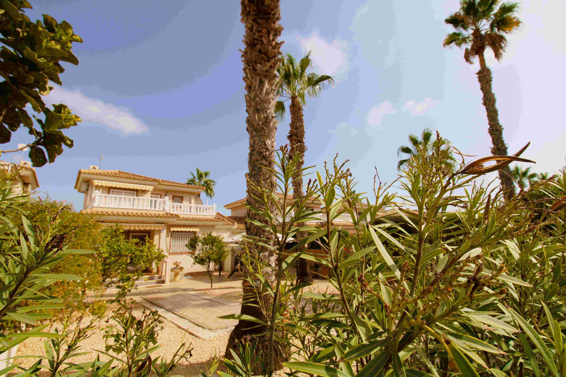 House in Urbanizacion los Balcones - view 1