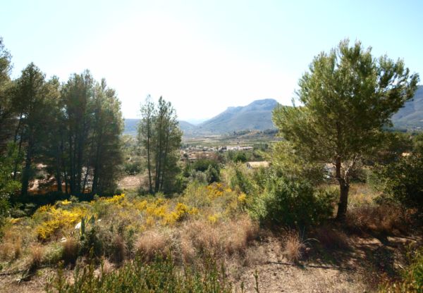 Land in Benissanet - view 1