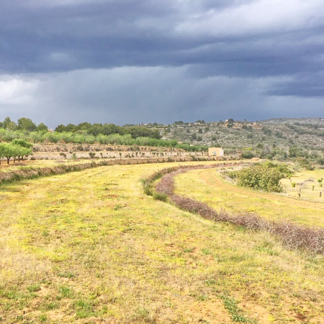 Land in Benissanet - view 1