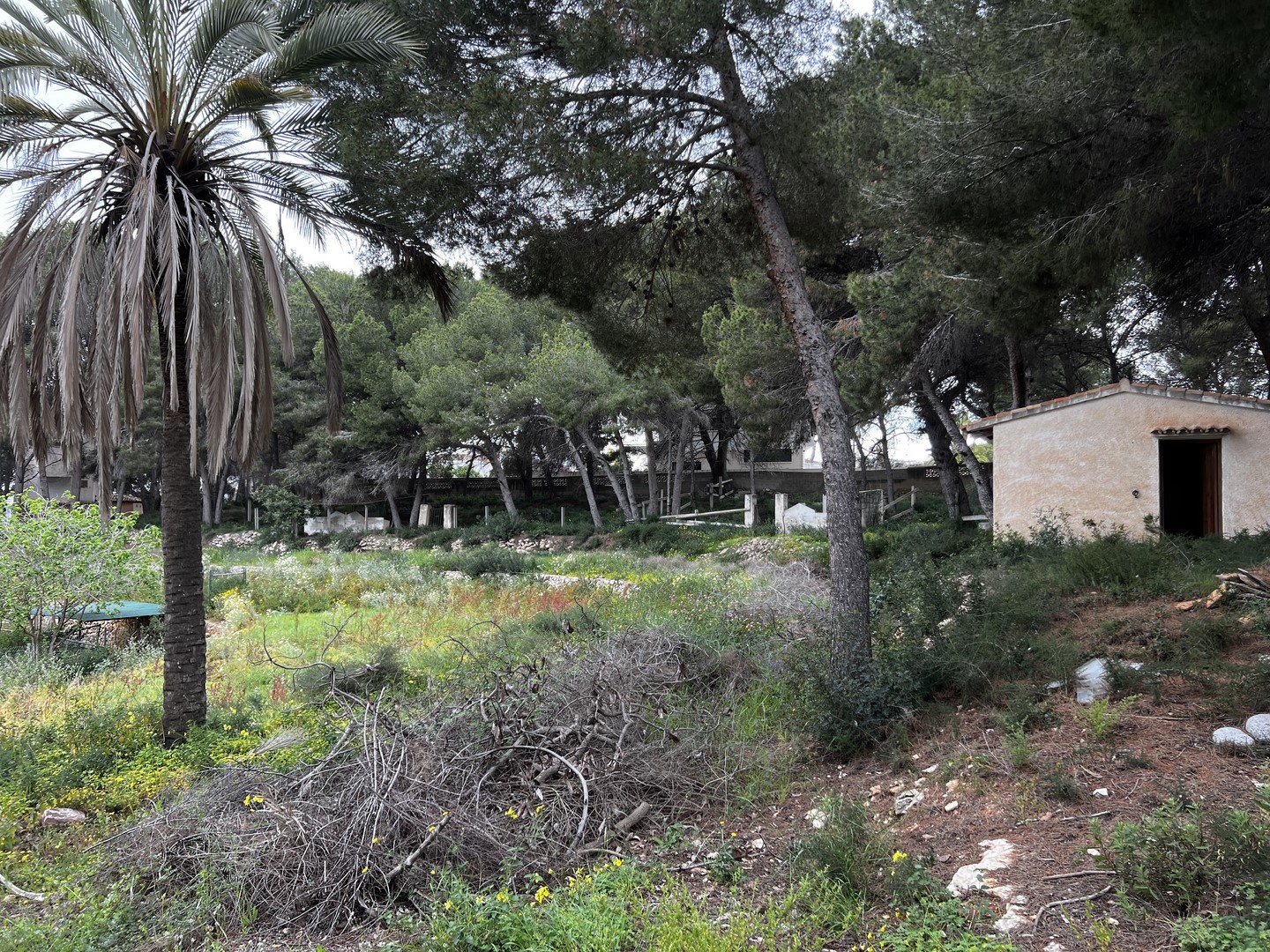 Land in Moraira - view 1