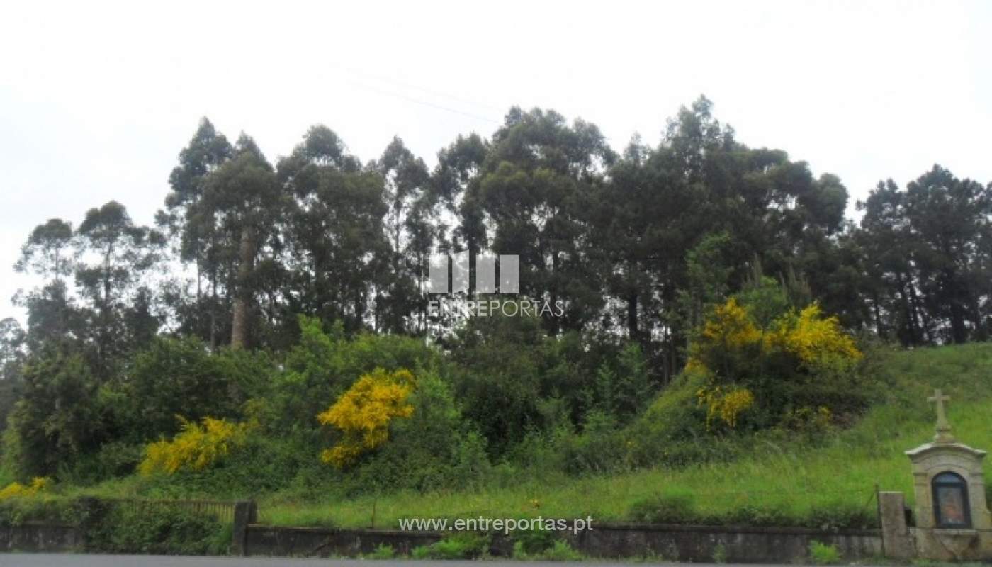 House in Vila Nova de Cerveira - view 1