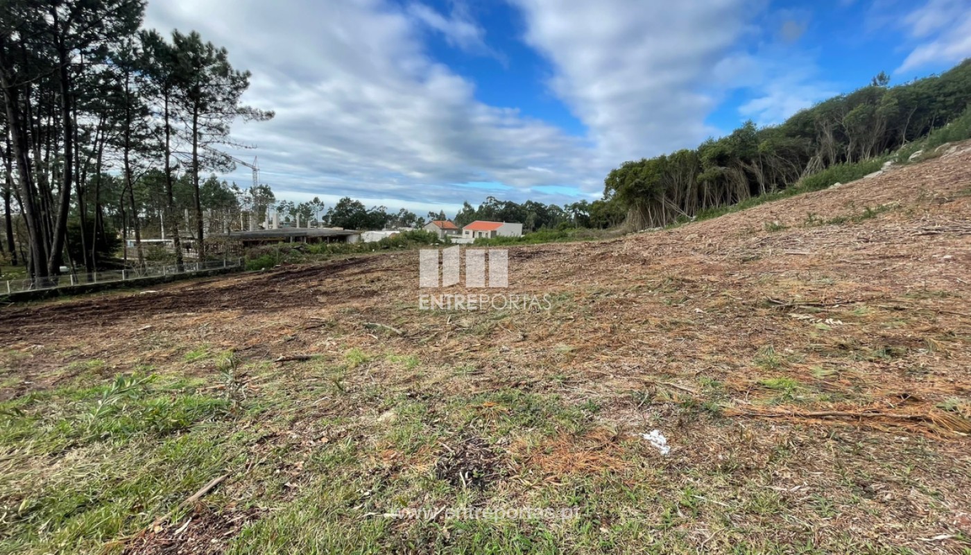 House in Areosa - view 1