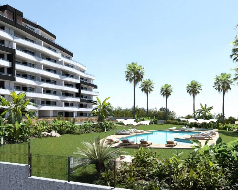Apartment in San Miguel de Salinas - view 1
