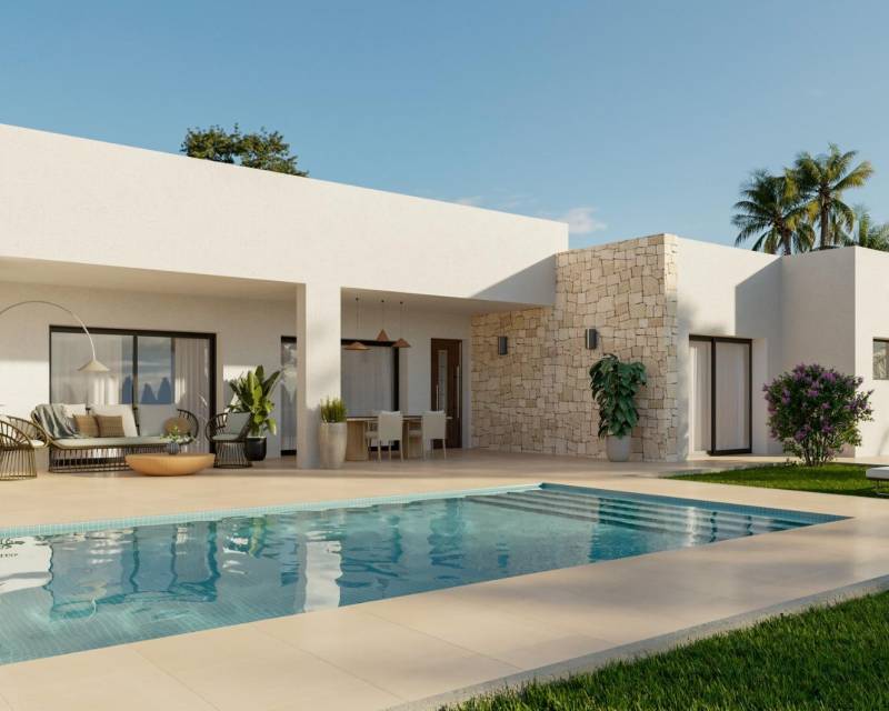 Villa in Tolomo - view 1
