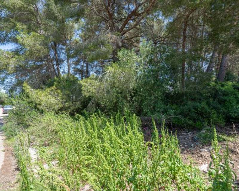 Land in Javea - view 1