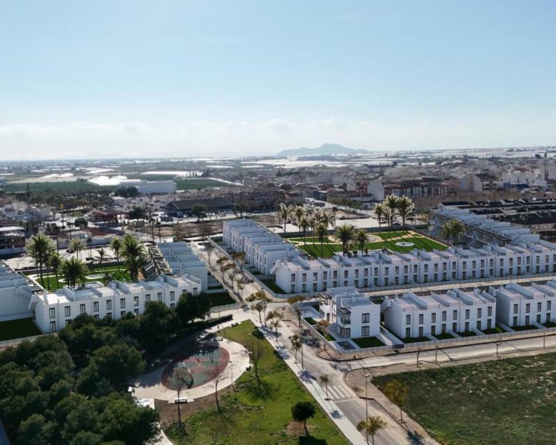 House in Pilar de la Horadada - view 1