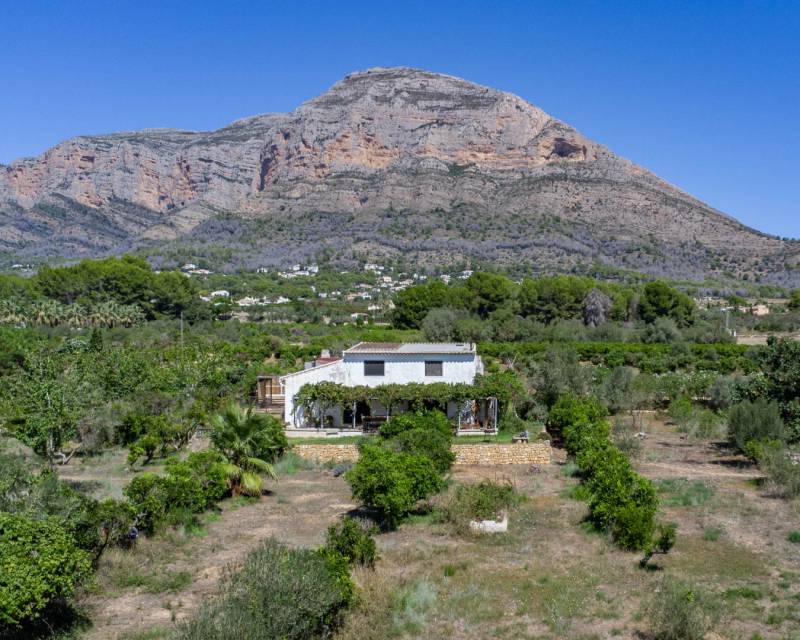 Villa in Javea - view 1