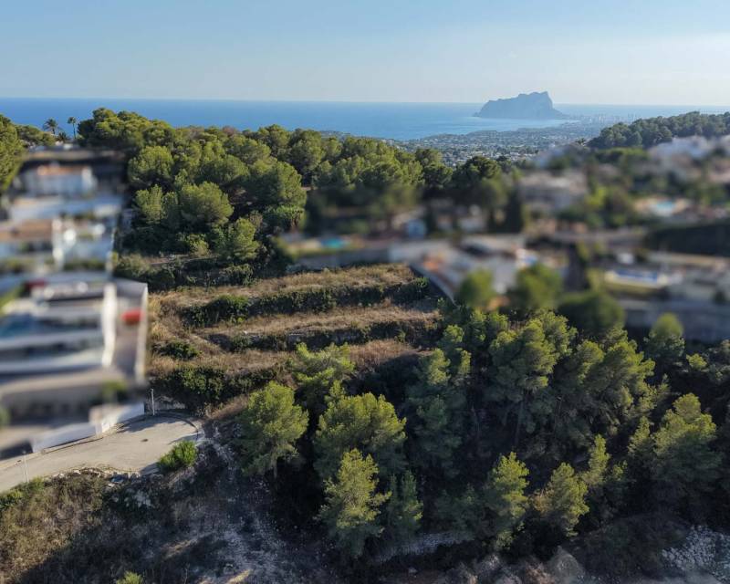 Land in Teulada - view 1