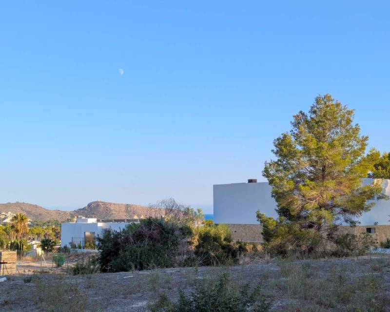 Land in Teulada - view 1