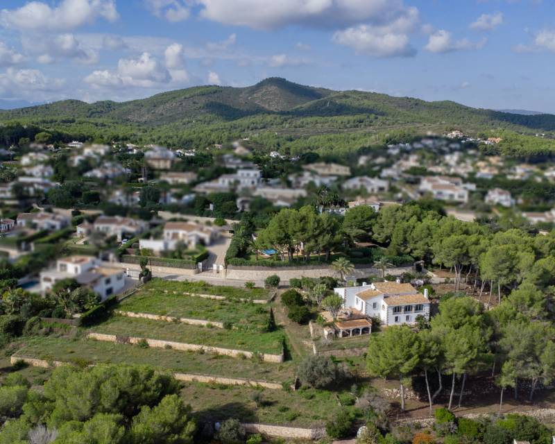 Land in El Mudo - view 1