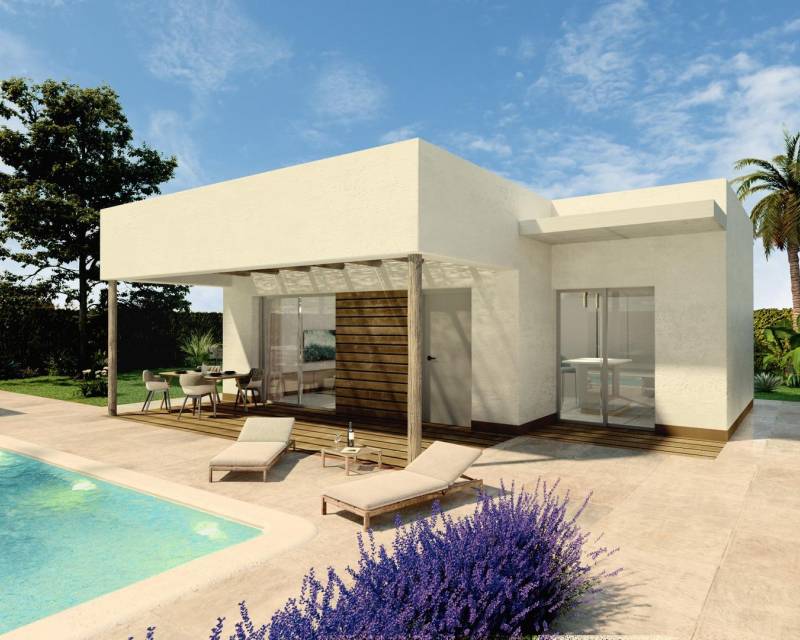 Villa in Hondon de los Frailes - view 1