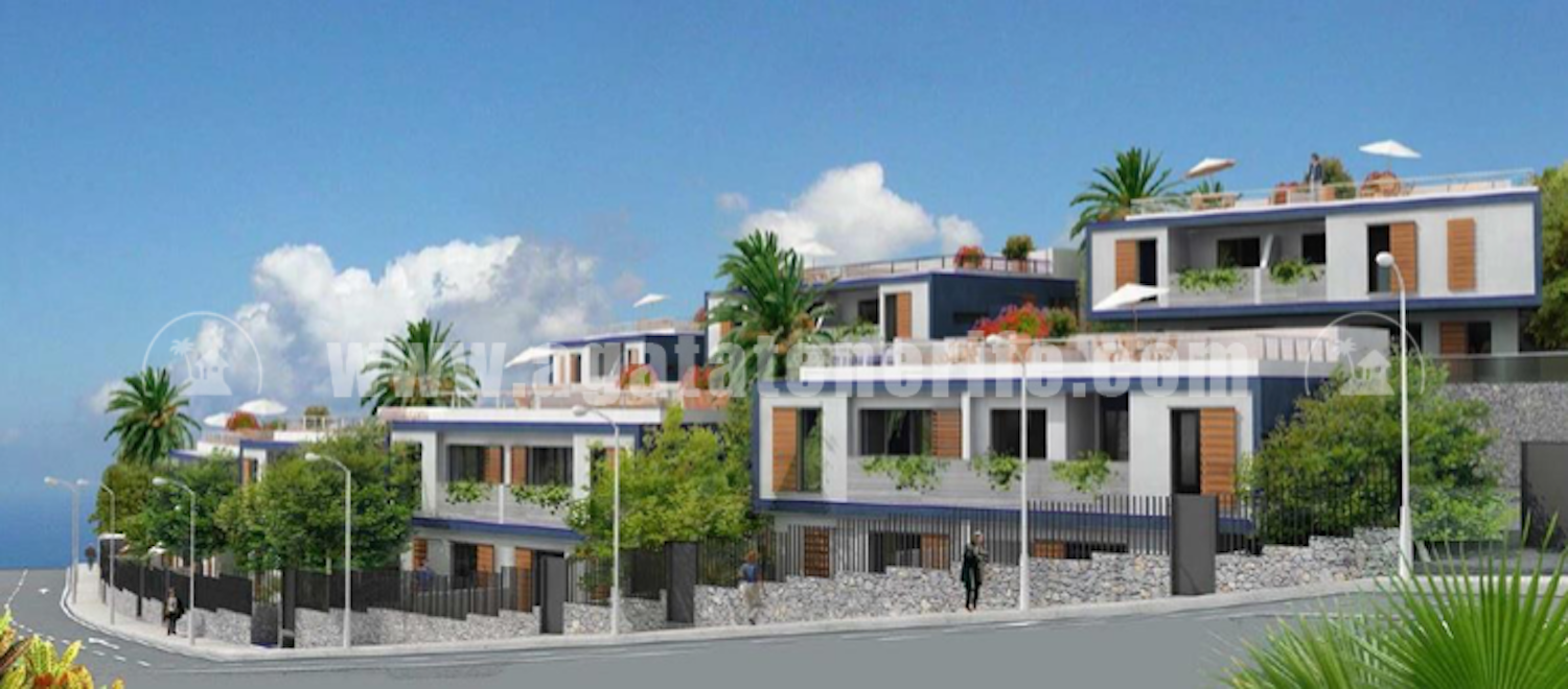 Land in Sauzal - view 1
